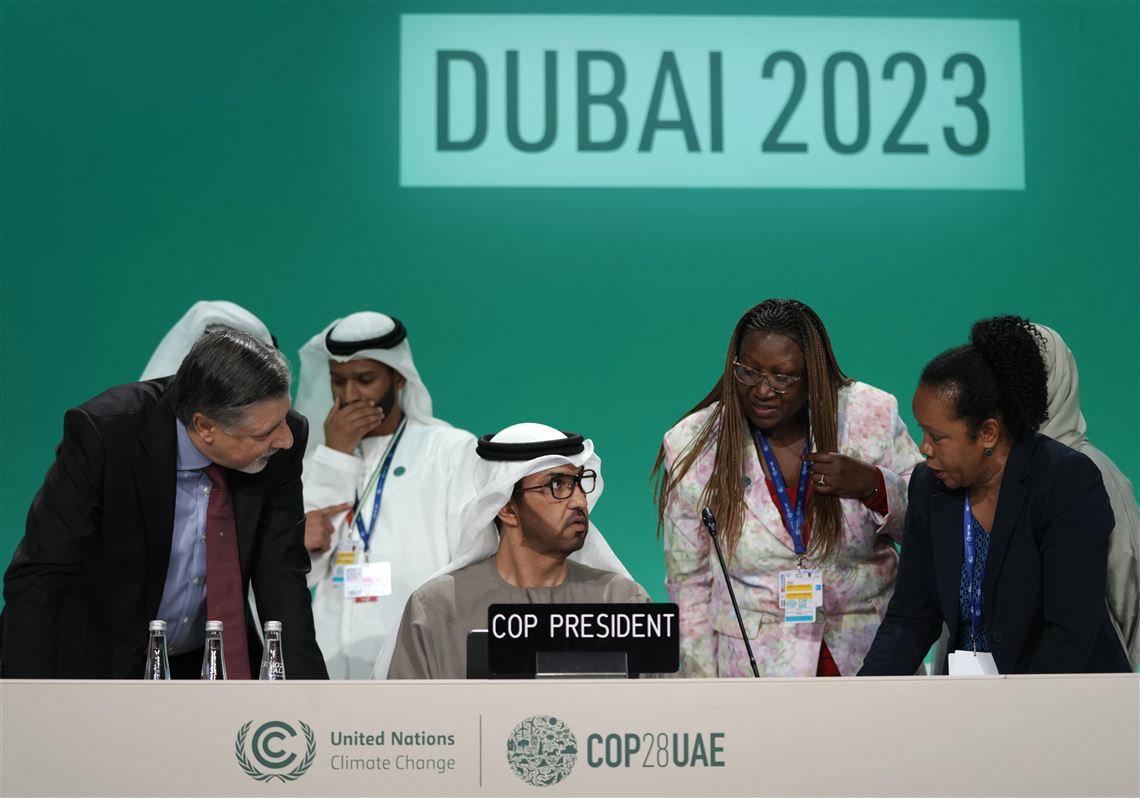 OPEC rallies members against fossil fuels phase out at COP 28, Climate  Crisis News