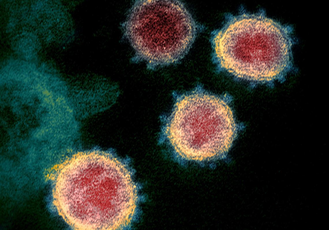 Health Department Links Half Of Pa S Virus Deaths To Personal