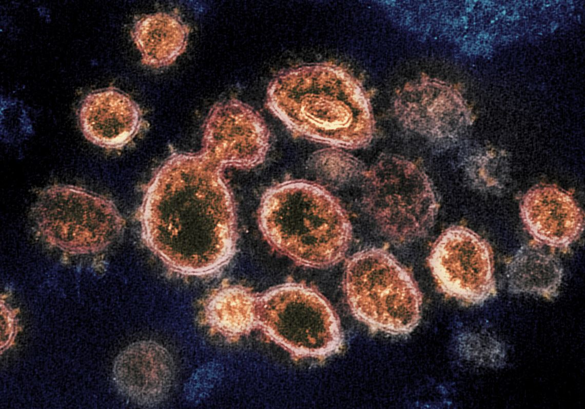 Coronavirus mutants found in 33 countries. Three U.S. States Report Incidents