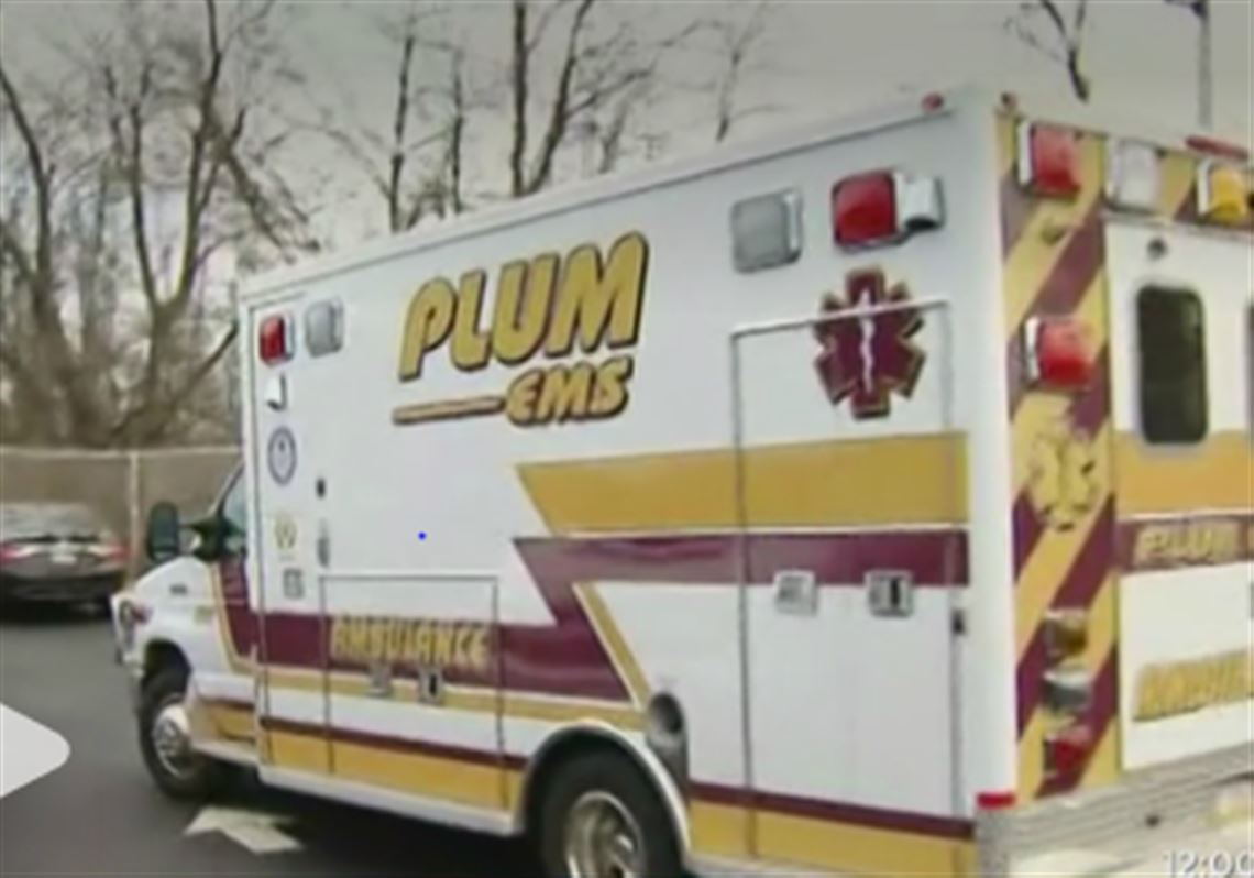 two-second-graders-at-penn-hills-school-sickened-after-sniffing