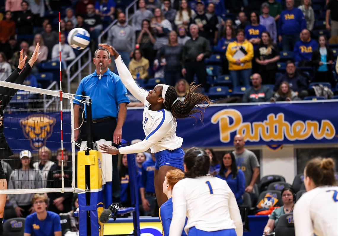 No 2 Pitt Volleyball Takes Aim At Ncaa Tournament And Championship Homecoming Pittsburgh Post 