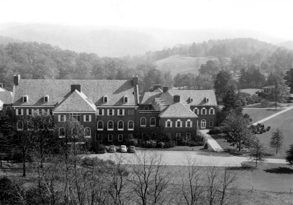 The witness trees Pittsburgh PostGazette