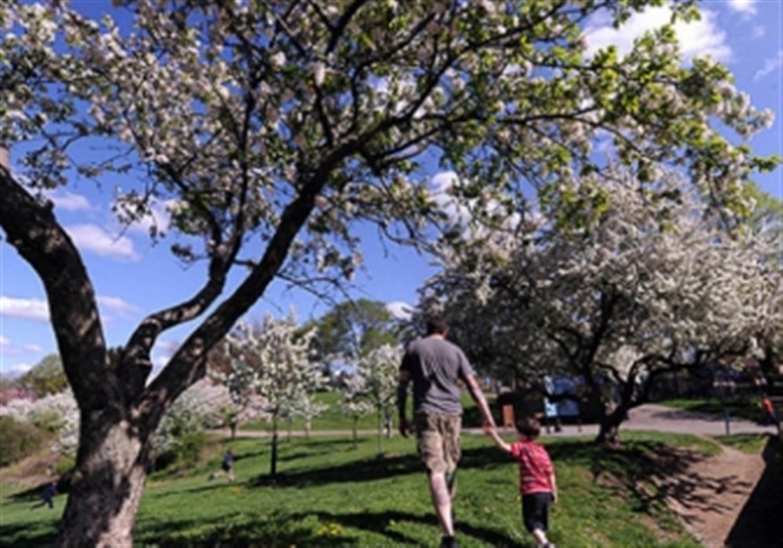 A father and his son walk through Frick Park. 