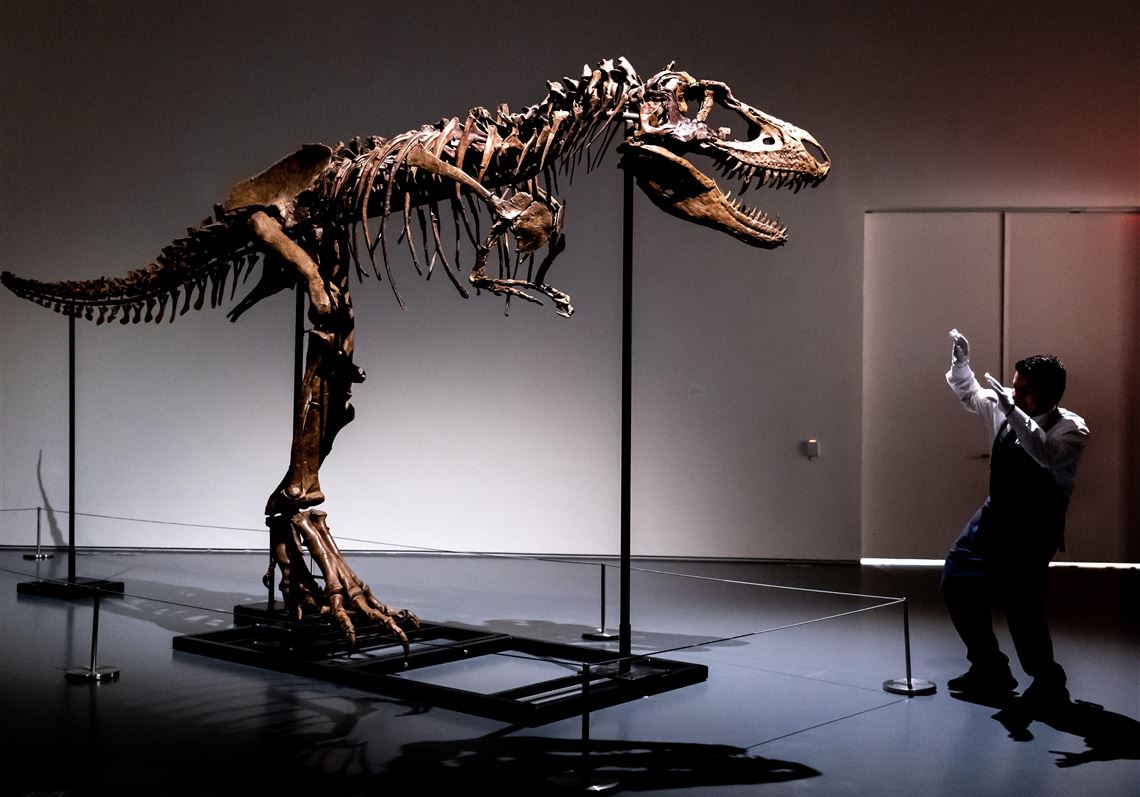 76 Million-year-old Dinosaur Skeleton To Be Auctioned In Nyc 