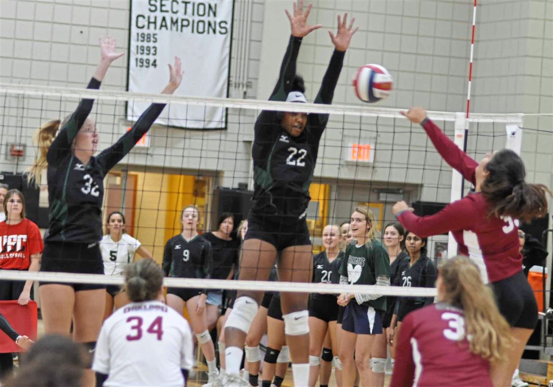 Pine Richland Volleyball Coach Pulling Double Duty Pittsburgh Post Gazette