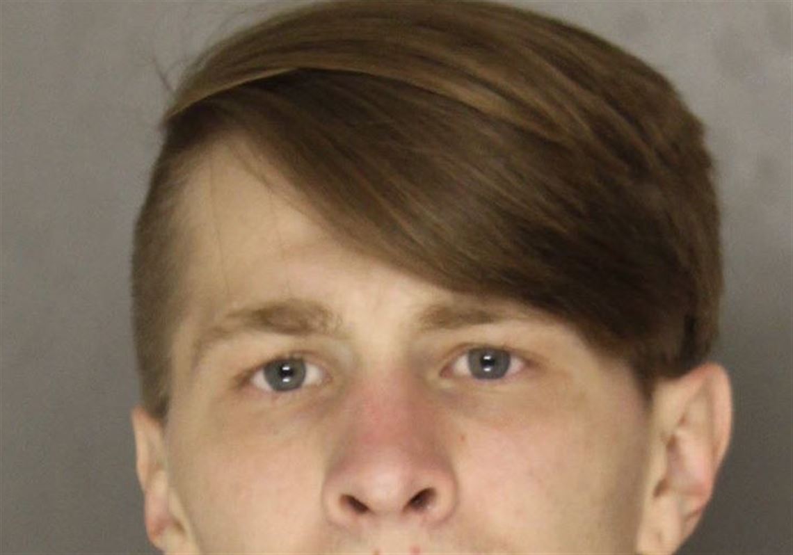 Trial begins in 2017 Plum double-fatal crash