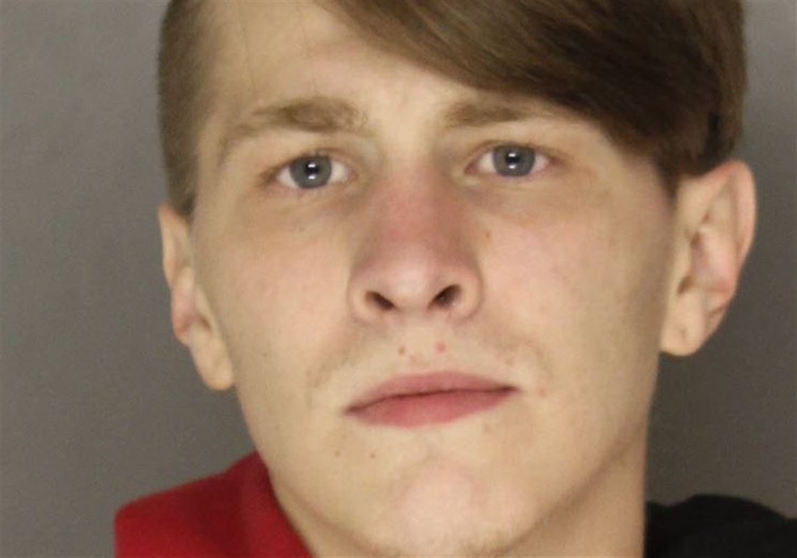 'A stupid act.' Judge sends Indiana County man to prison for killing two in Plum DUI crash