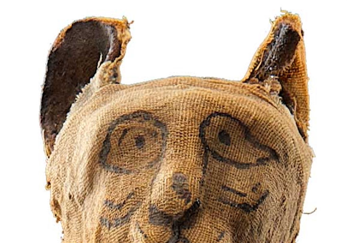 Mummies the word this fall at Carnegie Science Center