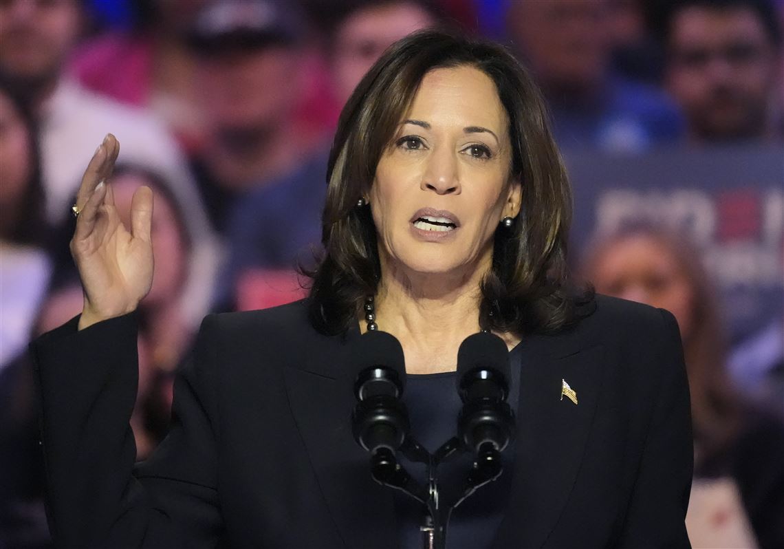 Harris slams 'politically motivated' report as Biden to name task force ...