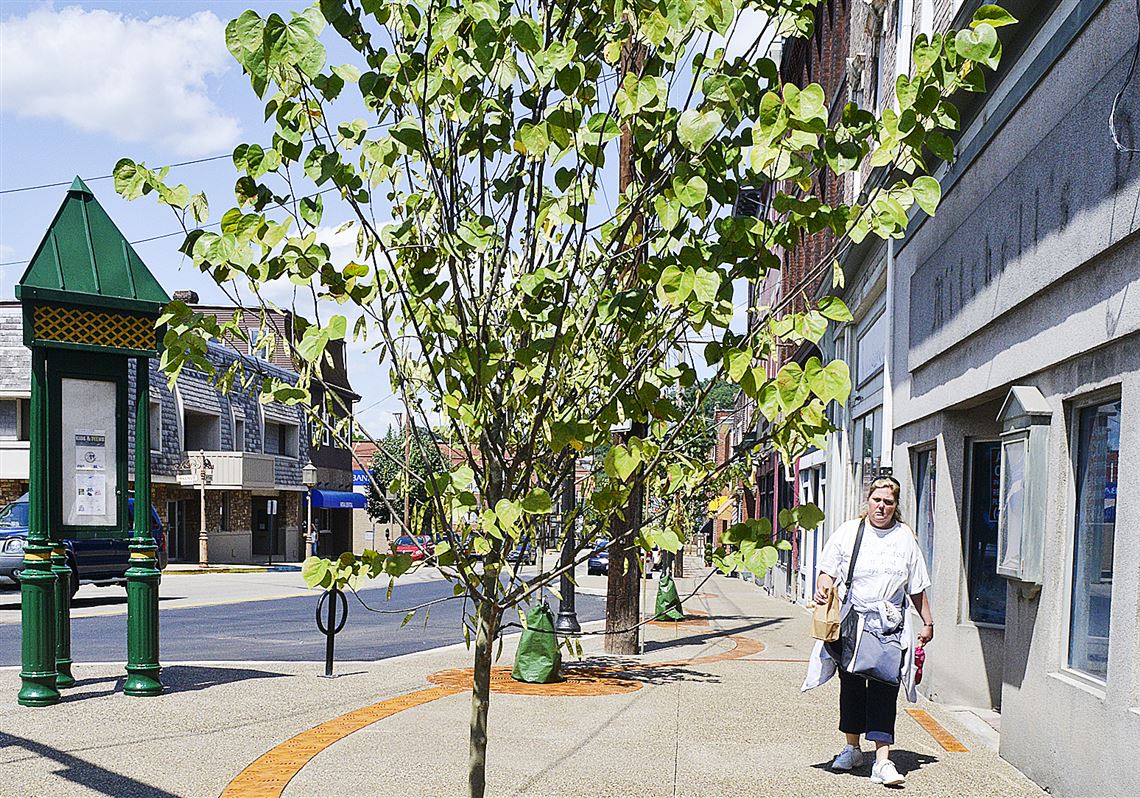 Etna celebrates green infrastructure for storm water Pittsburgh Post