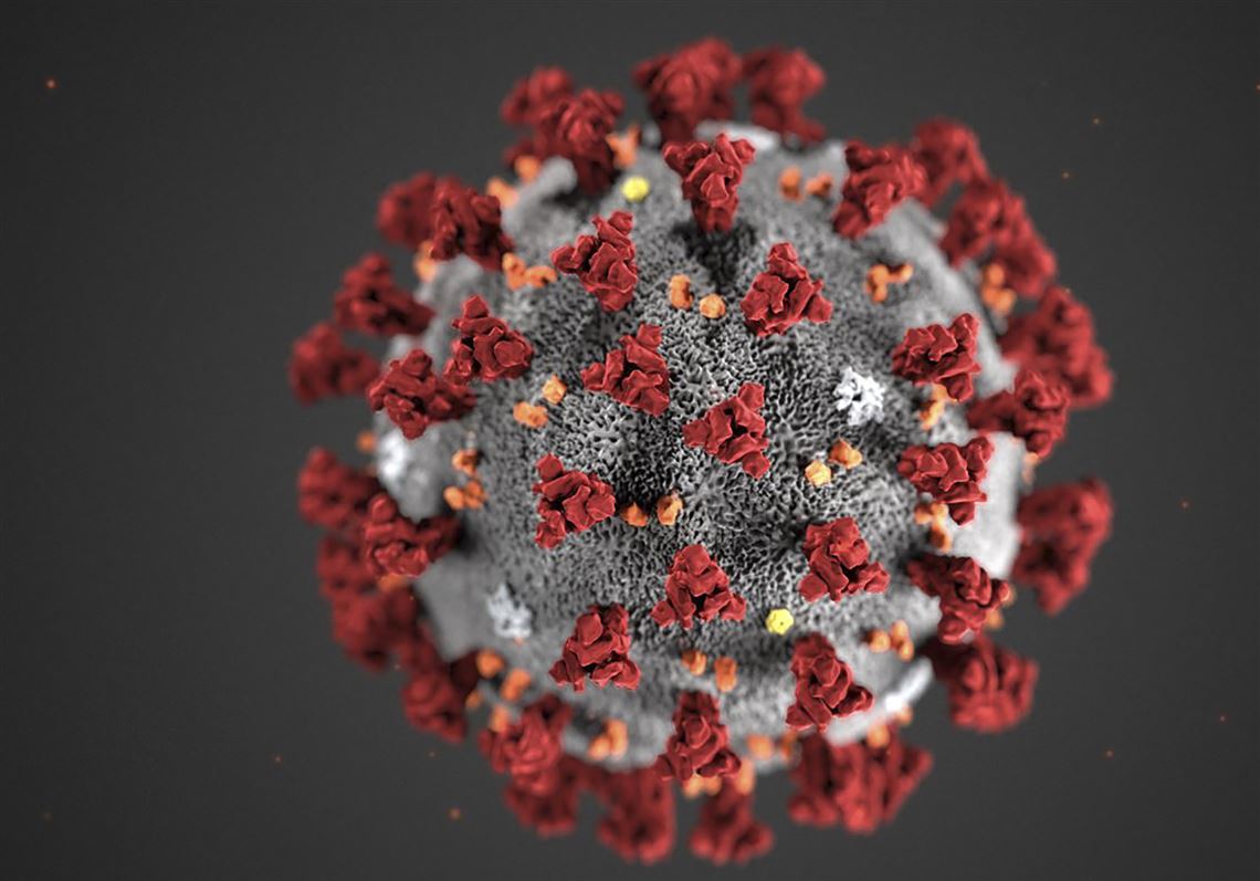 This file handout illustration image obtained February 3, 2020, courtesy of the Centers for Disease Control and Prevention, and created at the Centers for Disease Control and Prevention (CDC), reveals ultrastructural morphology exhibited by the novel coronavirus, COVID-19.