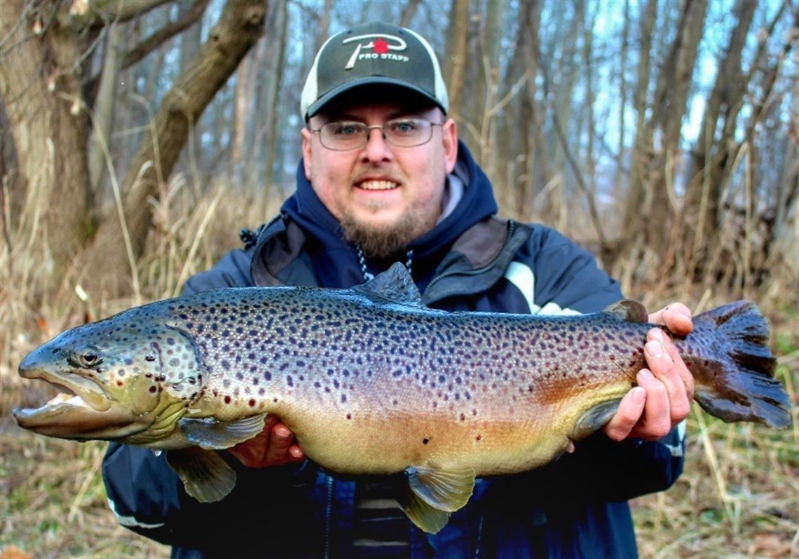 Fishing Report: Cold flow at Erie tribs produces hot brown trout