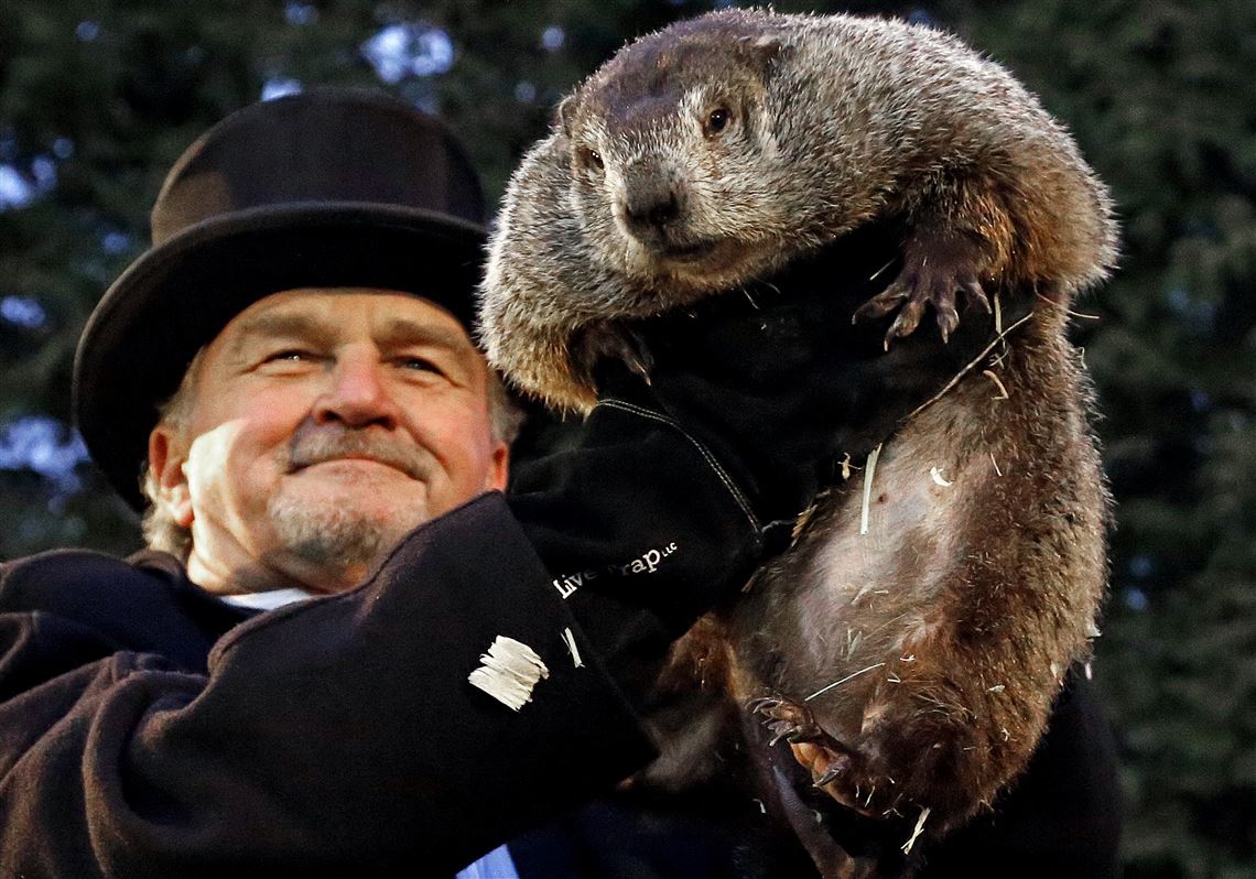 Don't be fooled, Phil, it's not spring yet