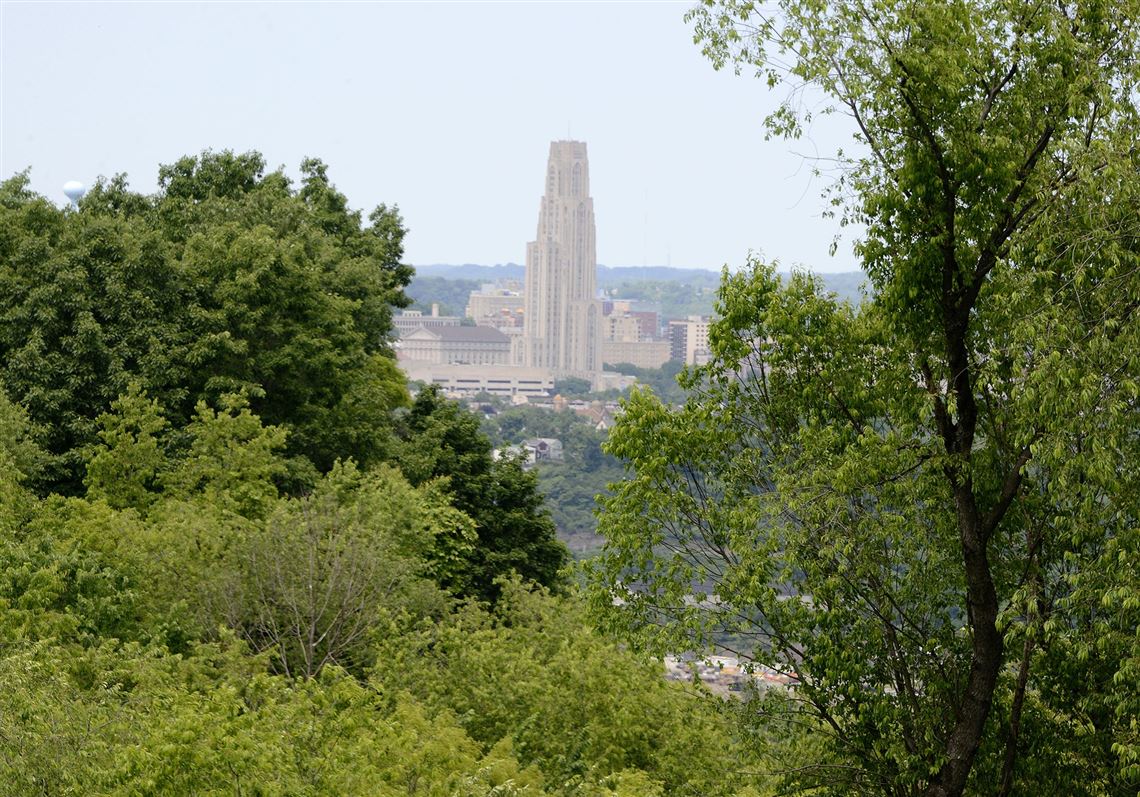 Public input sought on future of Hays Woods -- possibly Pittsburgh's