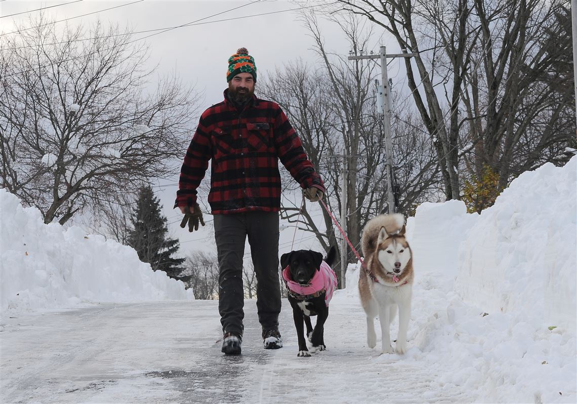 Potentially historic' snowfall to hit Orchard Park for Bills-Browns