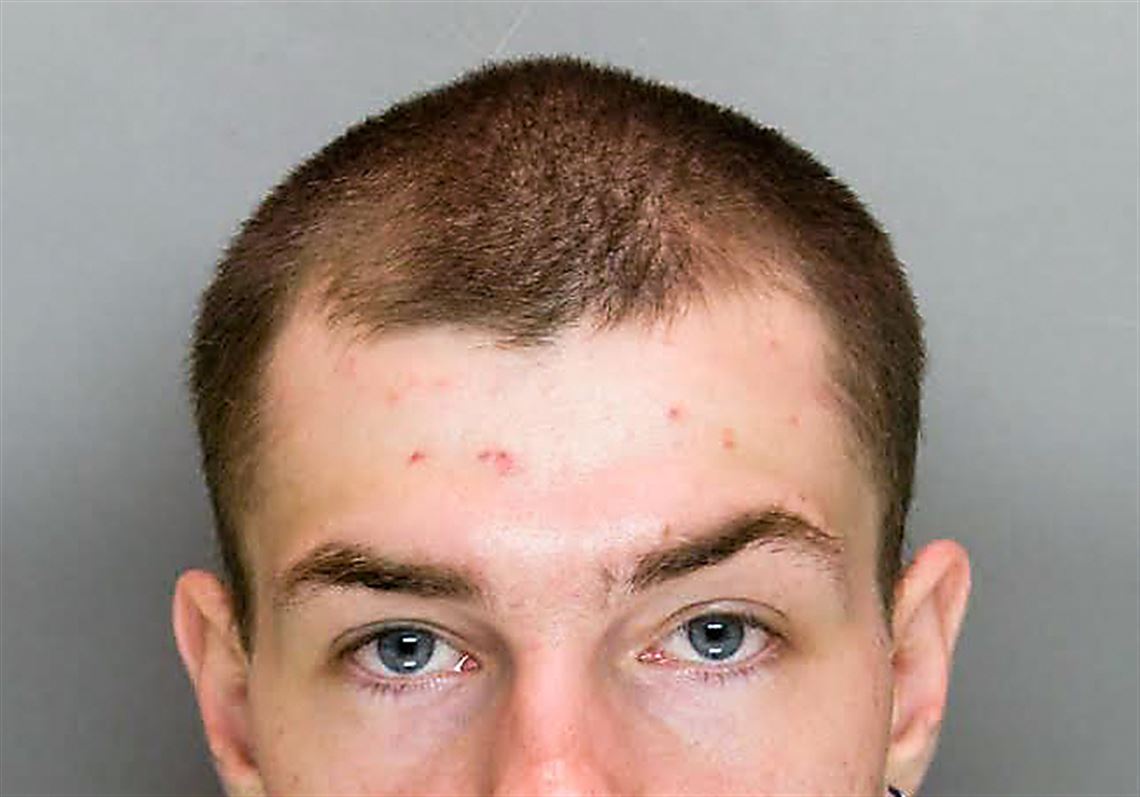 Brackenridge man pleads guilty, sentenced in stabbing death of neighbor