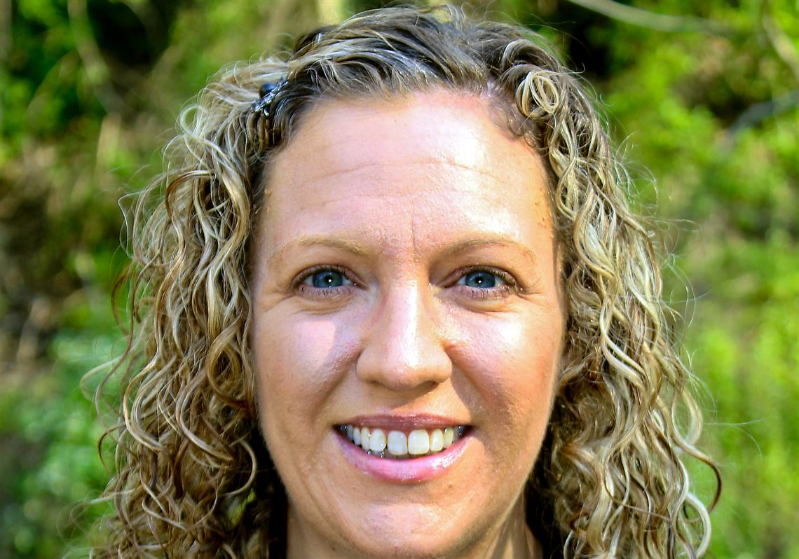 New principal named for Highcliff Elementary School Pittsburgh Post