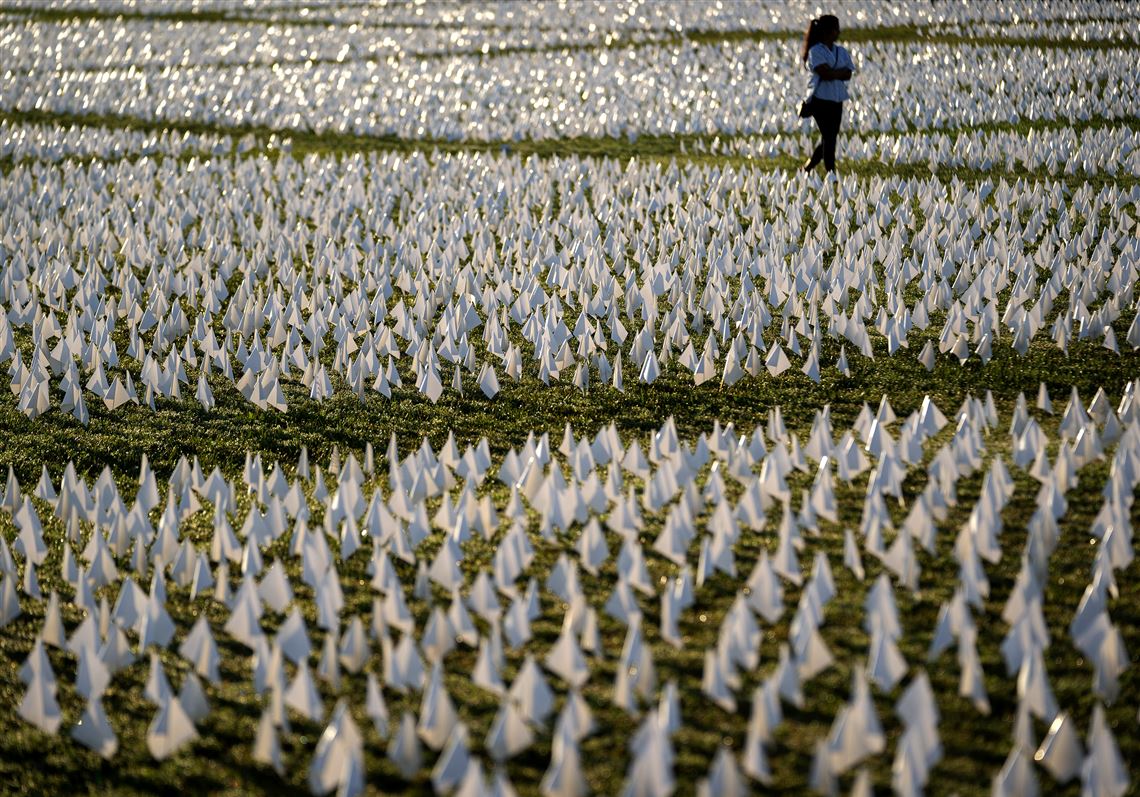 Cory Franklin and Robert Weinstein Excess deaths in America are up