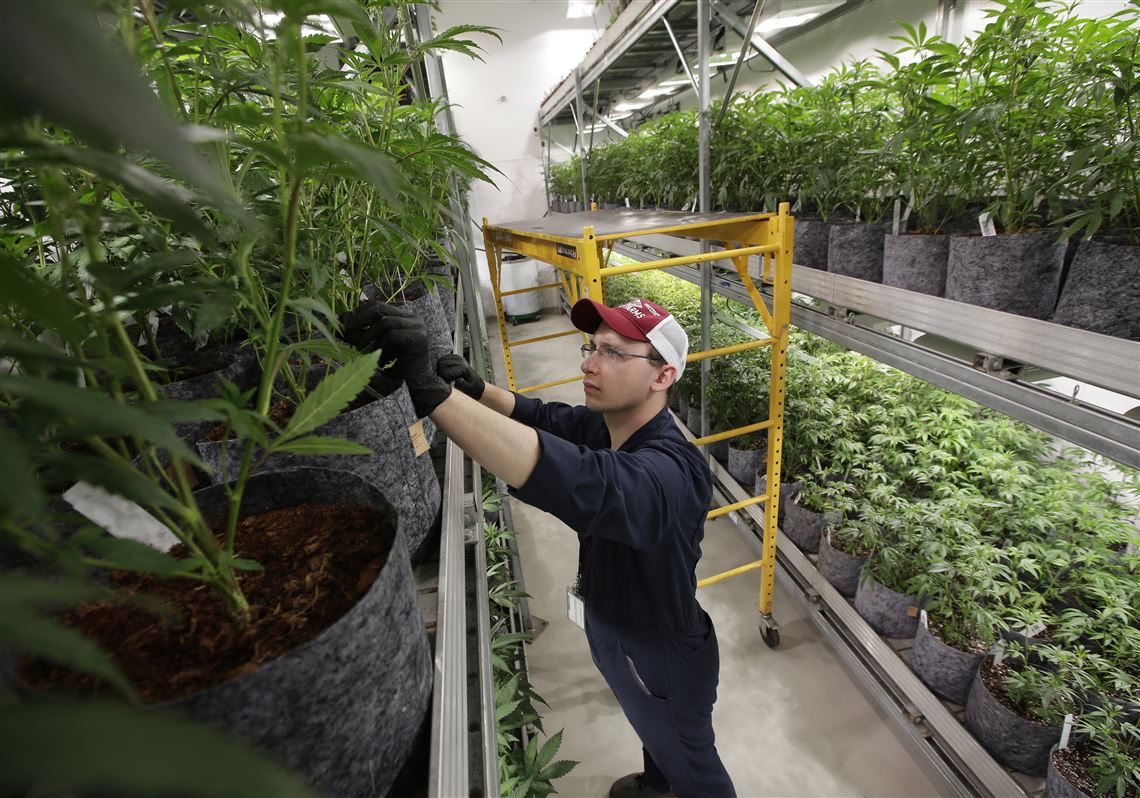 Pa.’s proposed marijuana tax may provide revenue boost for ...