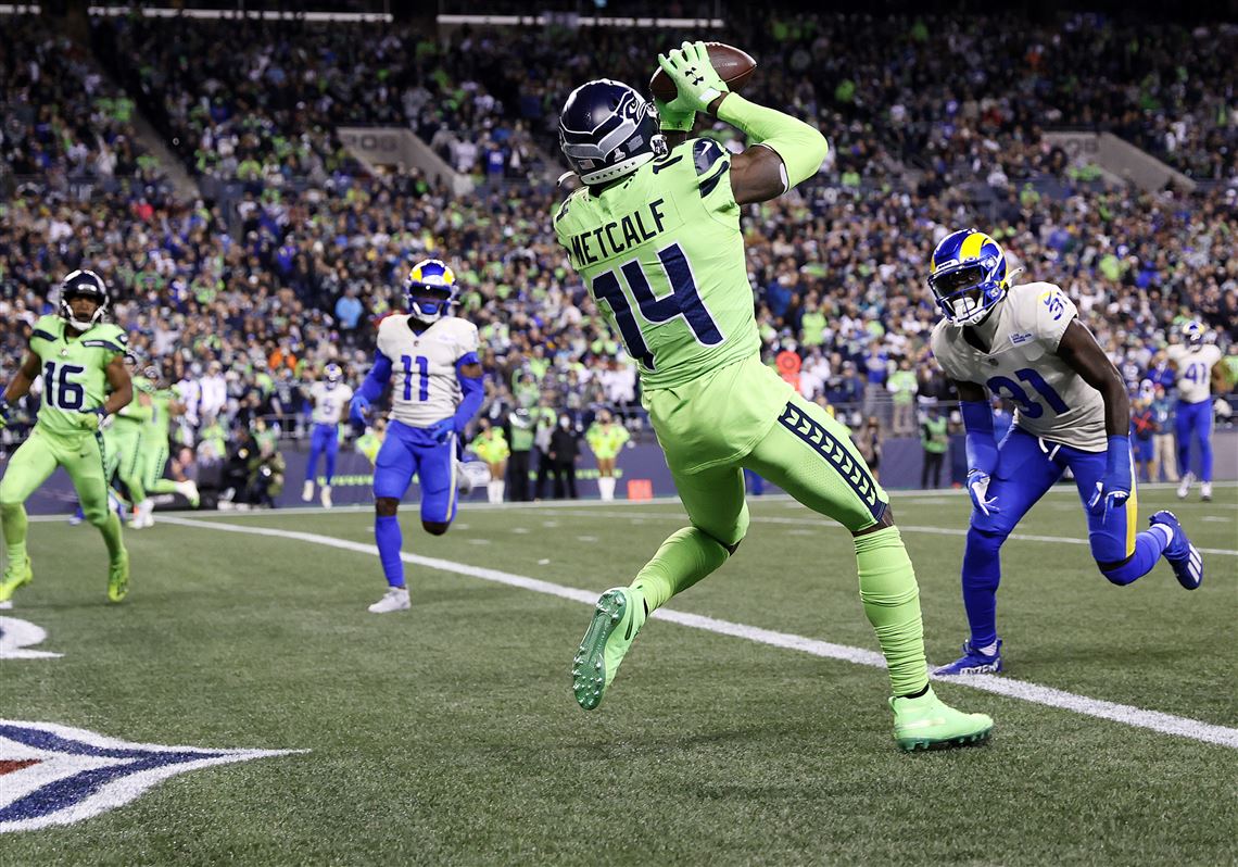 DK Metcalf of the Seattle Seahawks catches the ball for a touchdown News  Photo - Getty Images