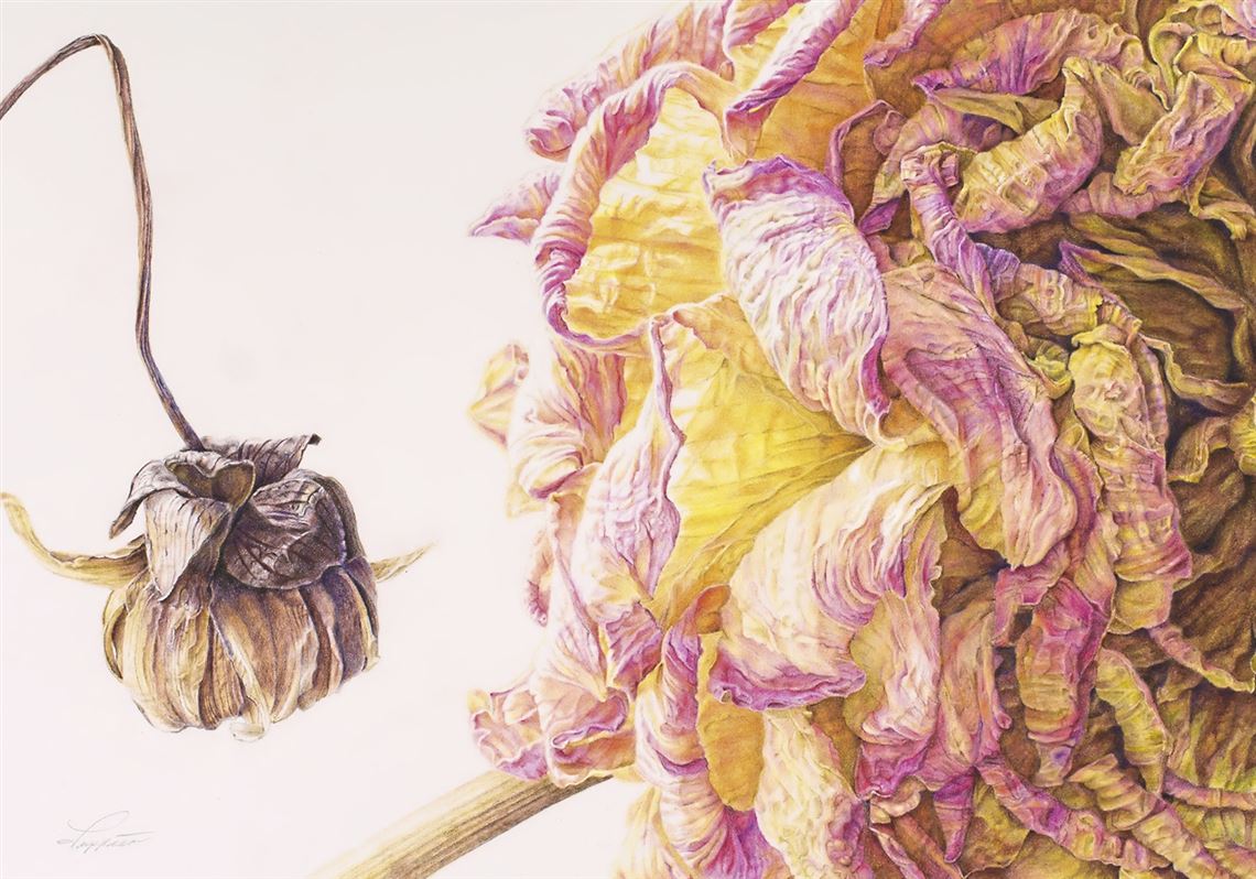 Patricia Luppino (United States), 