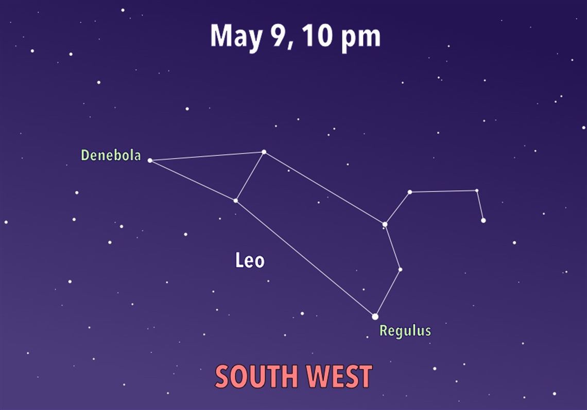Regulus Constellation Regulus Constellation