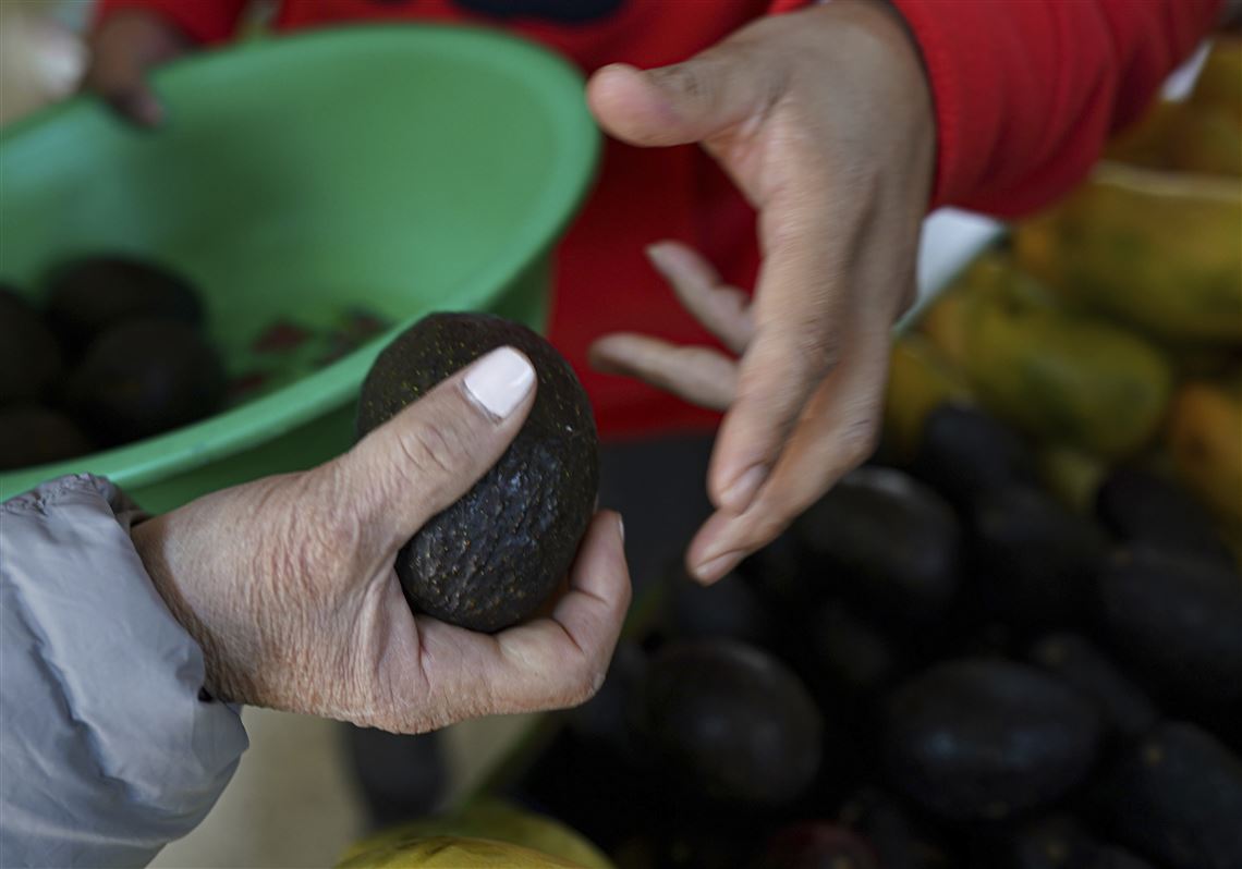 Current Situation of the Fresh Avocado Market in the US