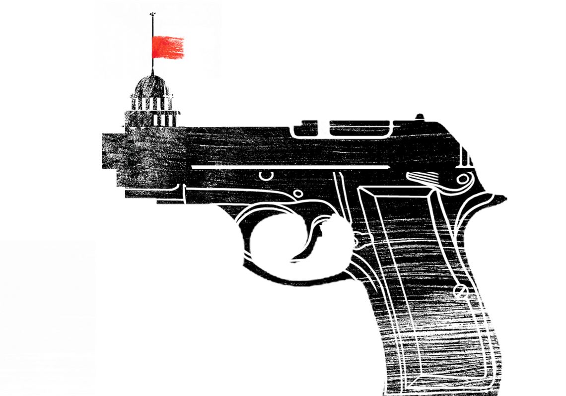 Gun Control Guidance Florida Red Flag Law Is A Good Example For