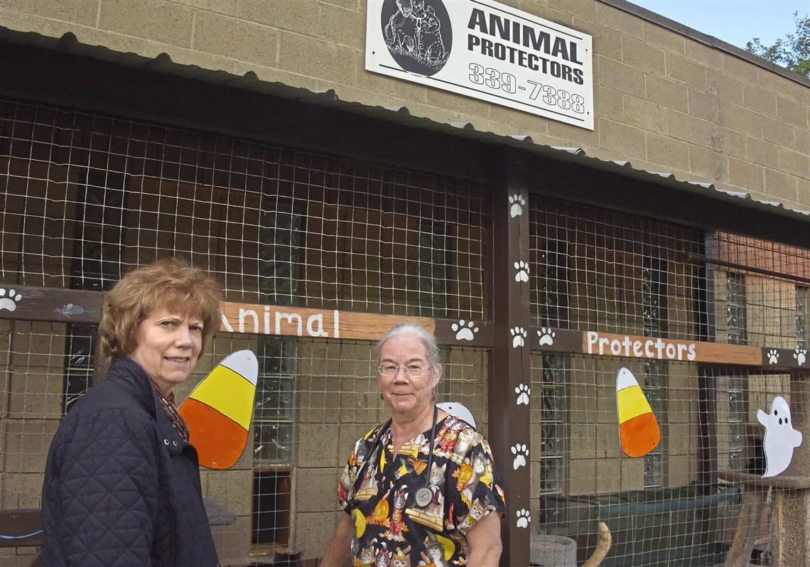 Pet events Tours set of Animal Protectors' future shelter in New