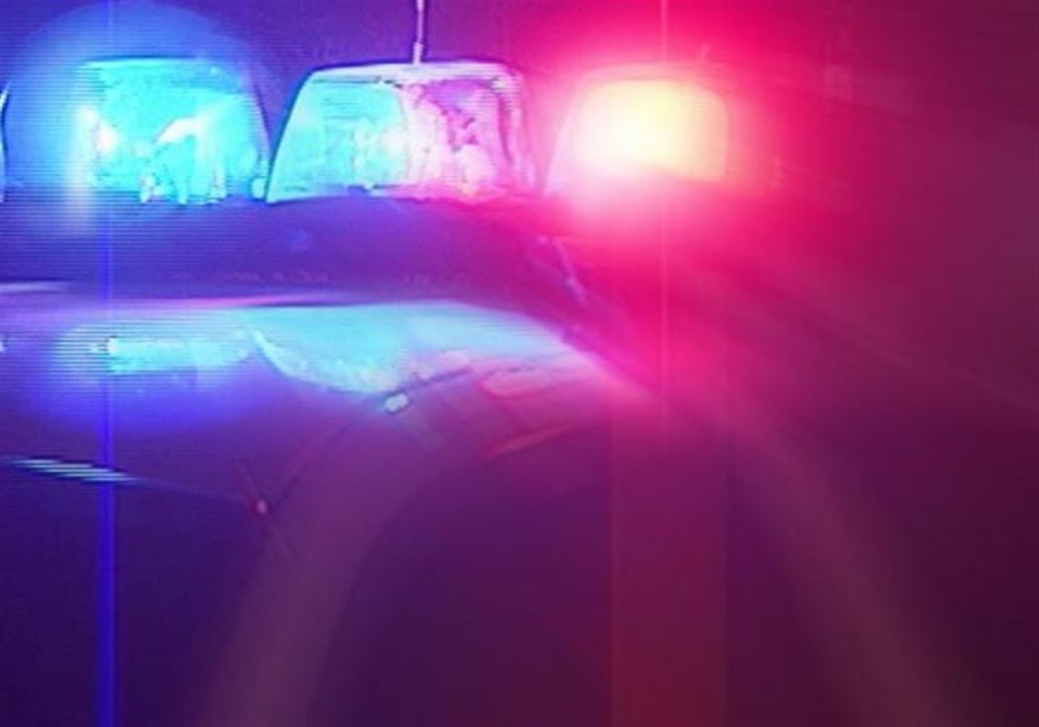 Four people charged in fight at Kennywood Park