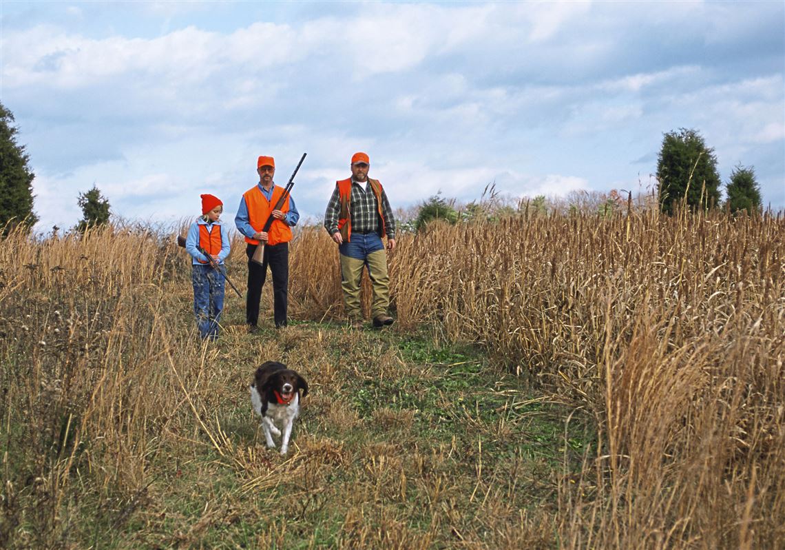 Modern revision of century old pheasant hunting program to be