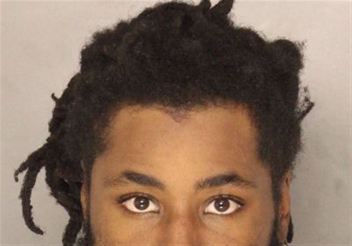 Man in Fox Chapel squatting case charged with bringing loaded gun into