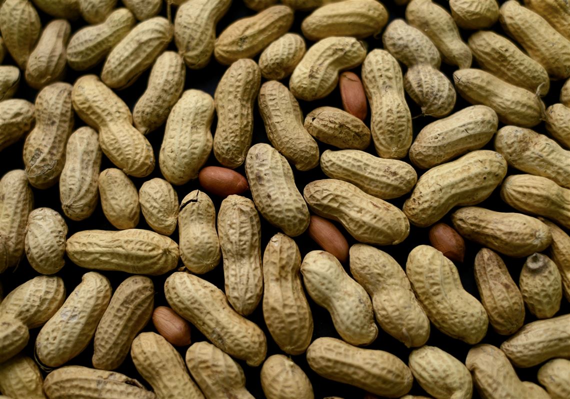 Early peanut introduction protects kids from allergy until adolescence, new  study finds | Pittsburgh Post-Gazette