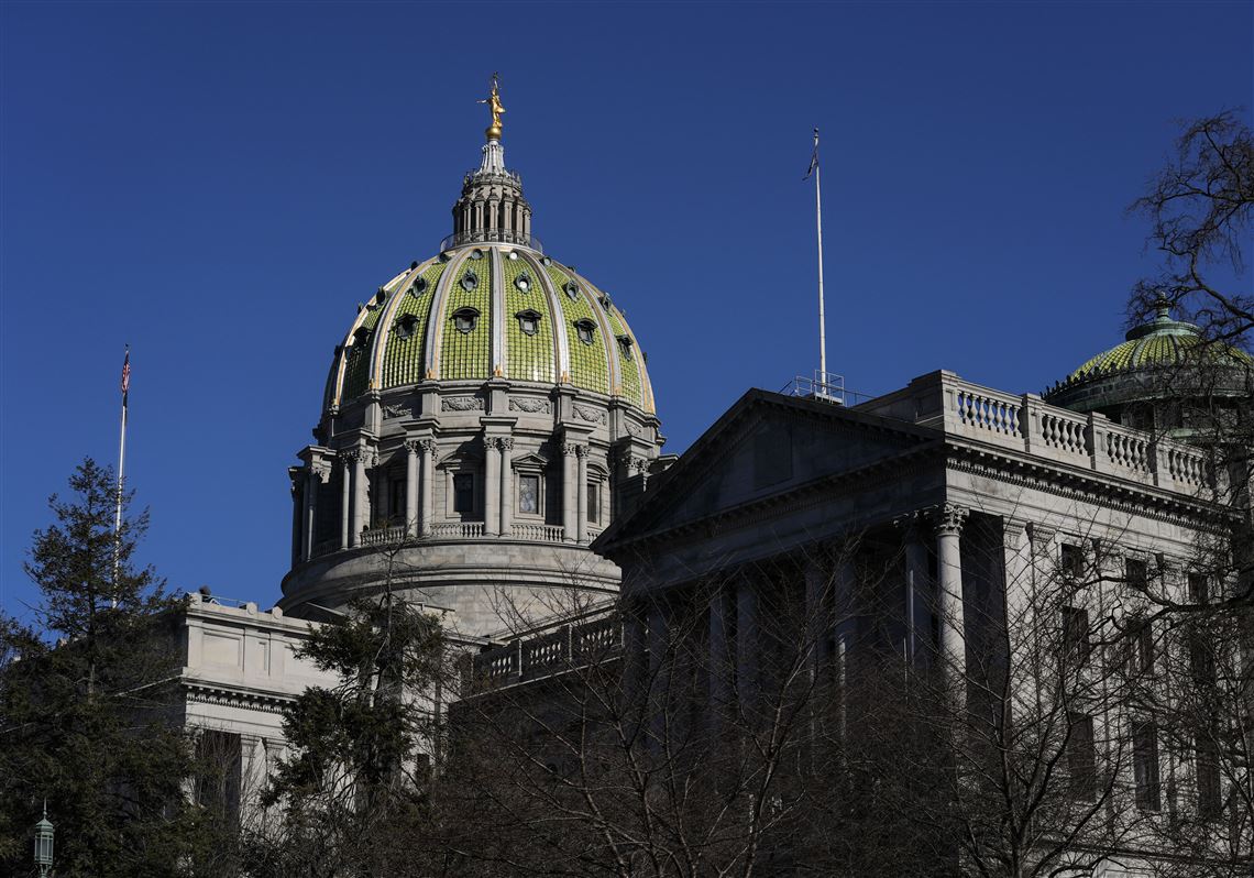 Pennsylvania lawmakers push to find out causes of death for older adults in  abuse or neglect cases | Pittsburgh Post-Gazette