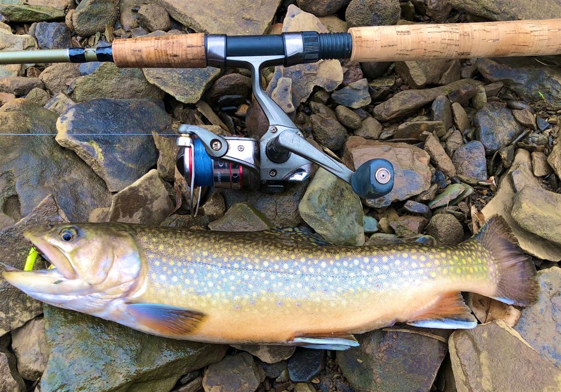 Fishing Report Brown Trout Taken In Hampton Steelhead Waiting