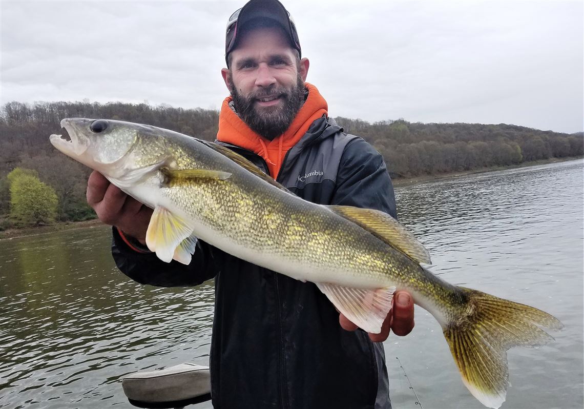 Walleye in Lake Erie and local rivers are different genetic ...