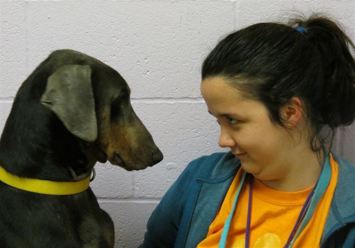 Pet Tales Everyone Misses Alicia Especially The Dogs At Animal Friends Pittsburgh Post Gazette