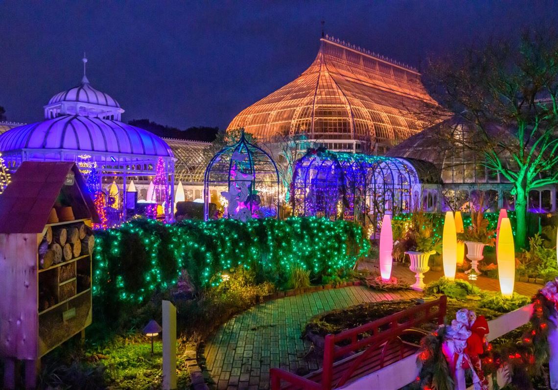 Let It Glow At Phipps Winter Flower Show Pittsburgh Post Gazette