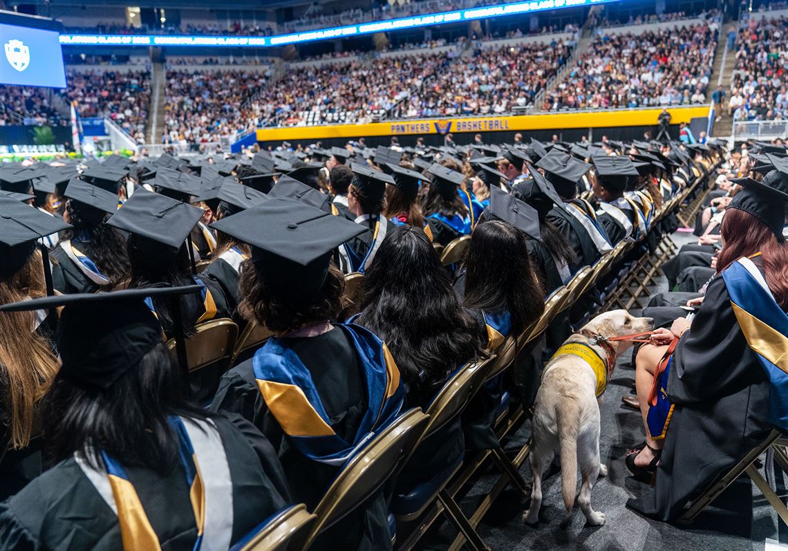 Pitt Graduation 2025 Ettie