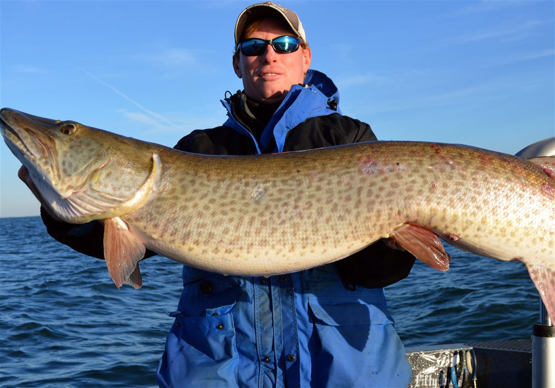 When hunting muskies, the real action is beside the boat
