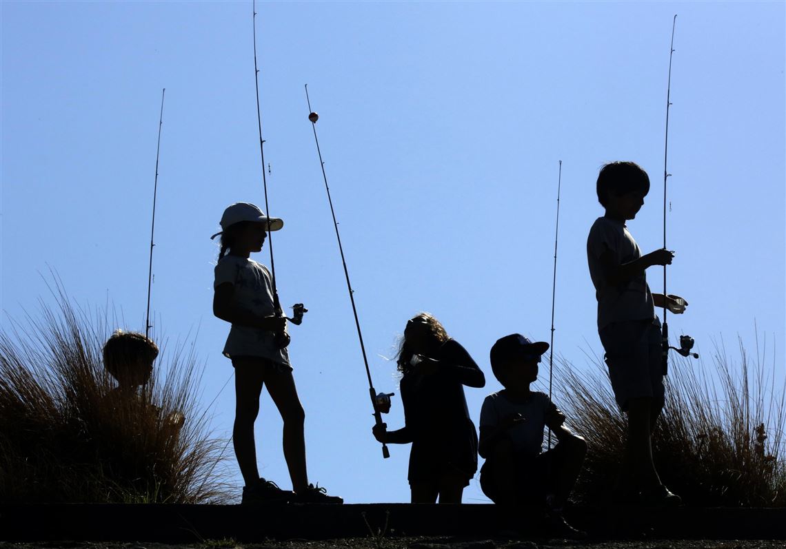 Children get special access to trout waters in fishing programs