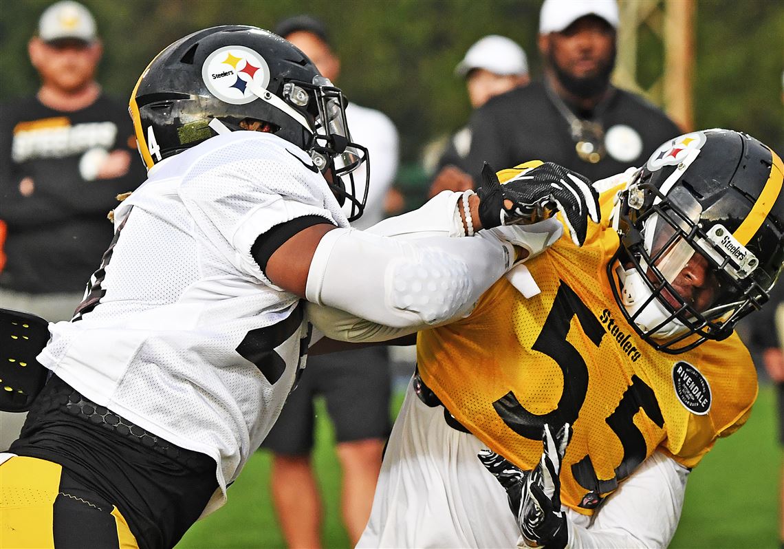 Pittsburgh Steelers: Devin Bush excelling early in rookie season