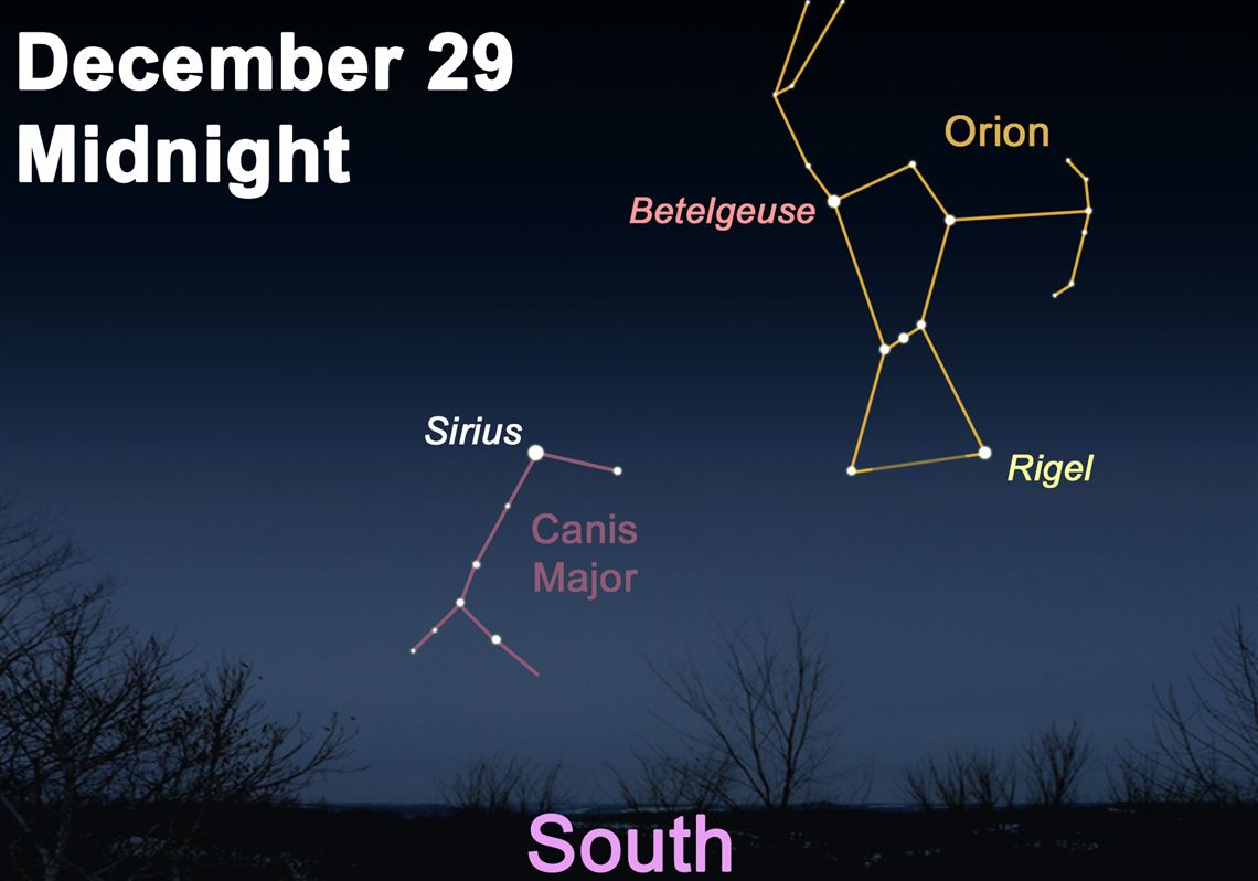 Stargazing: Sirius reaches its highest point