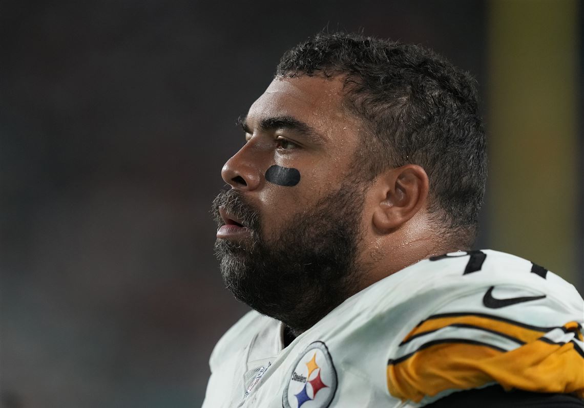 Pittsburgh Steelers DT Cam Heyward is Missing One Thing - Sports