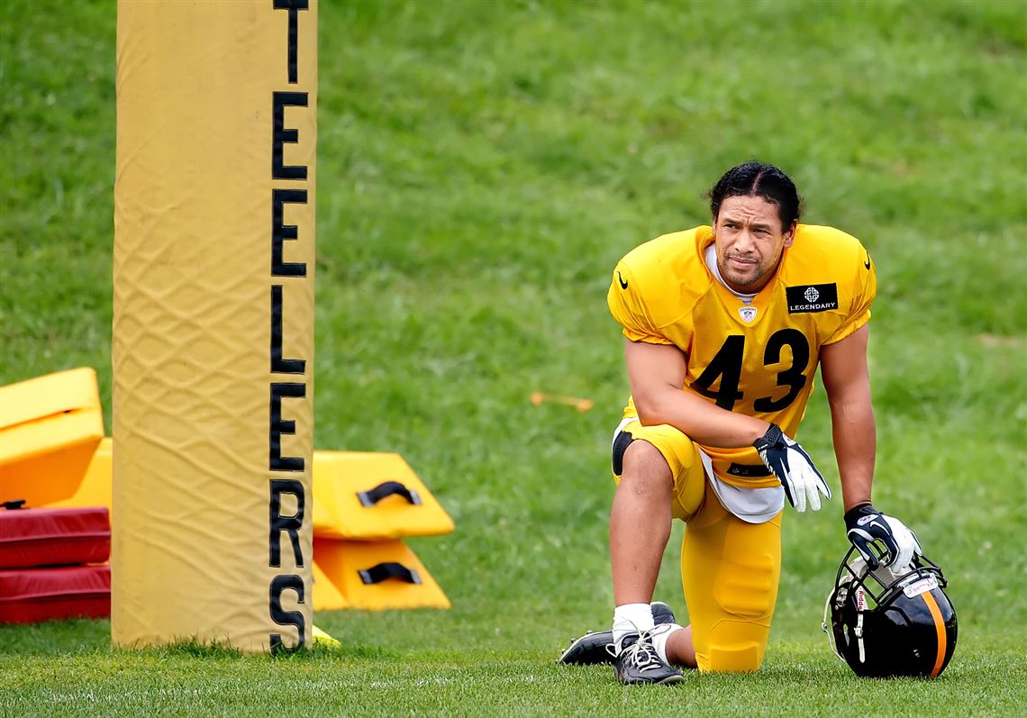 Note to Pittsburgh Steelers' Troy Polamalu: You're a little