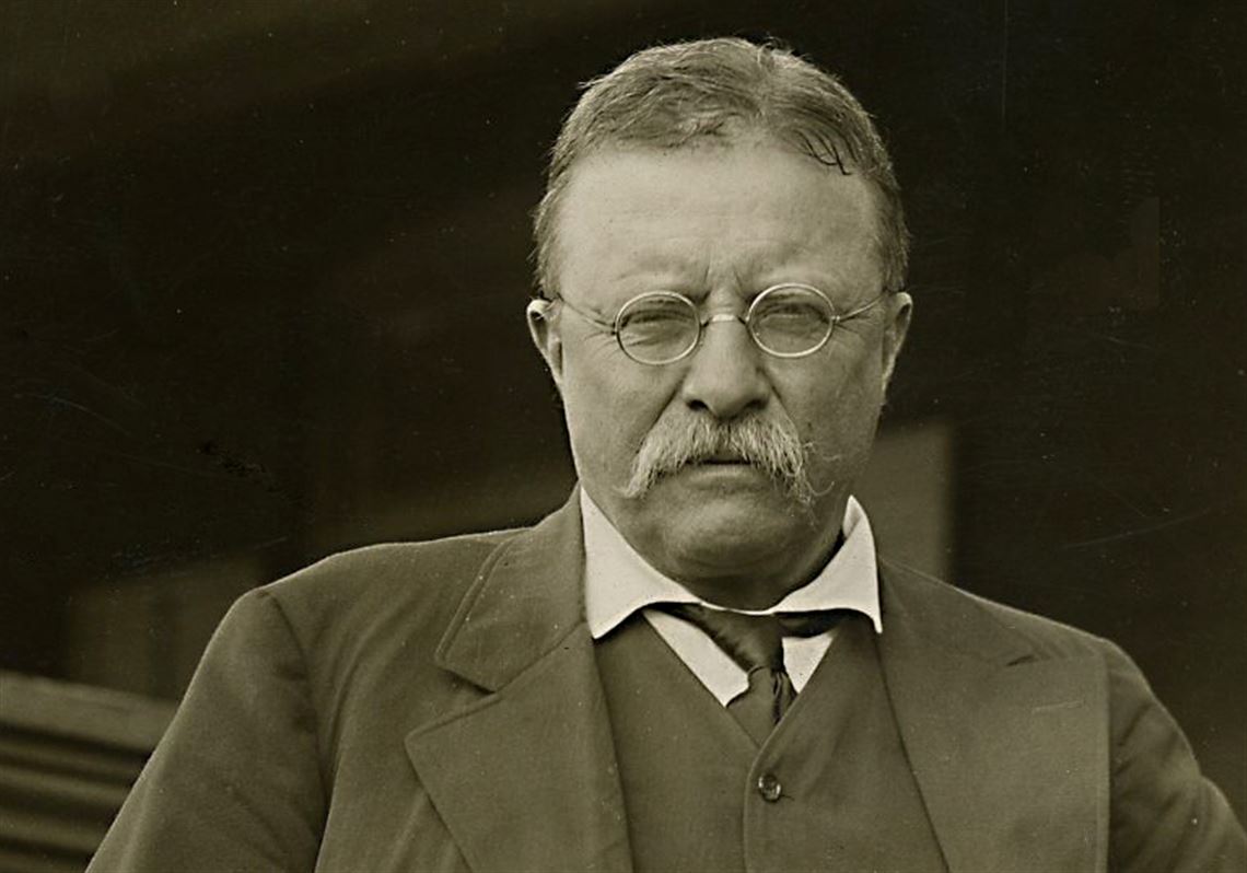 Theodore Roosevelt 3