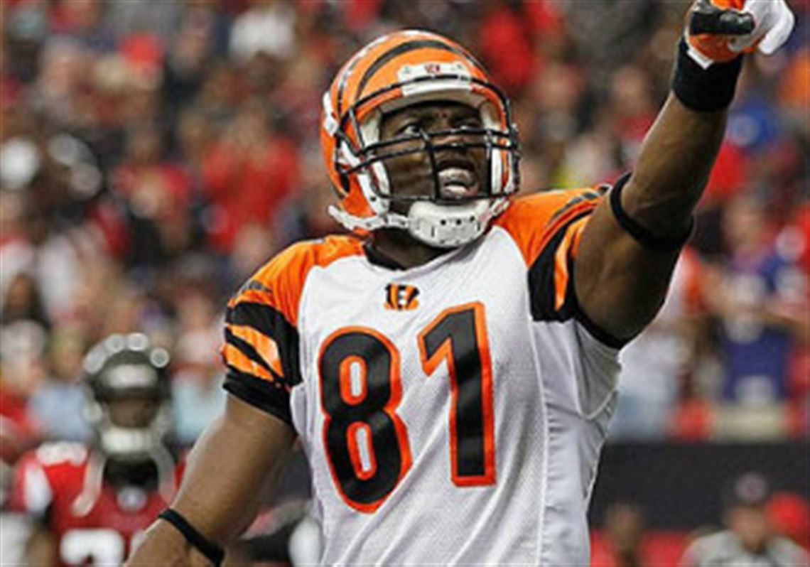 Owens blames Bengals coaches, owner