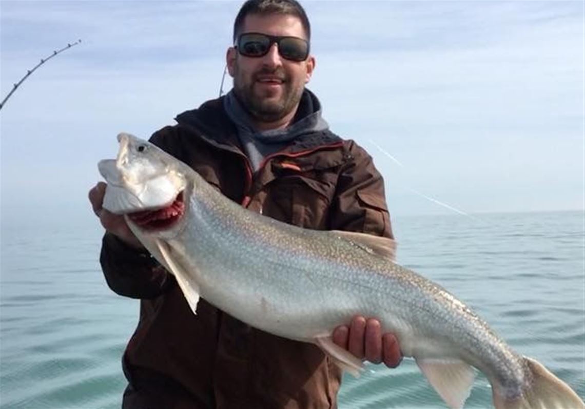 large-lake-erie-lake-trout-released-by-pittsburgh-angler-submitted-in