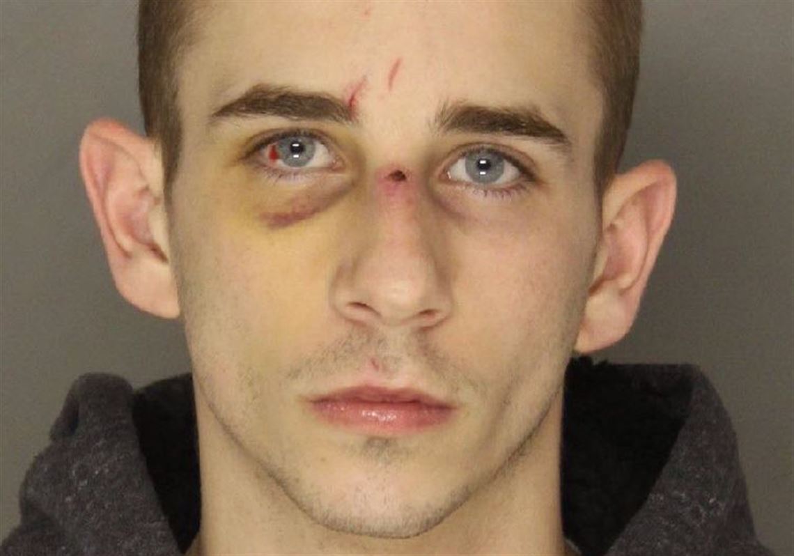 Banksville man strikes plea deal in dog's shooting death