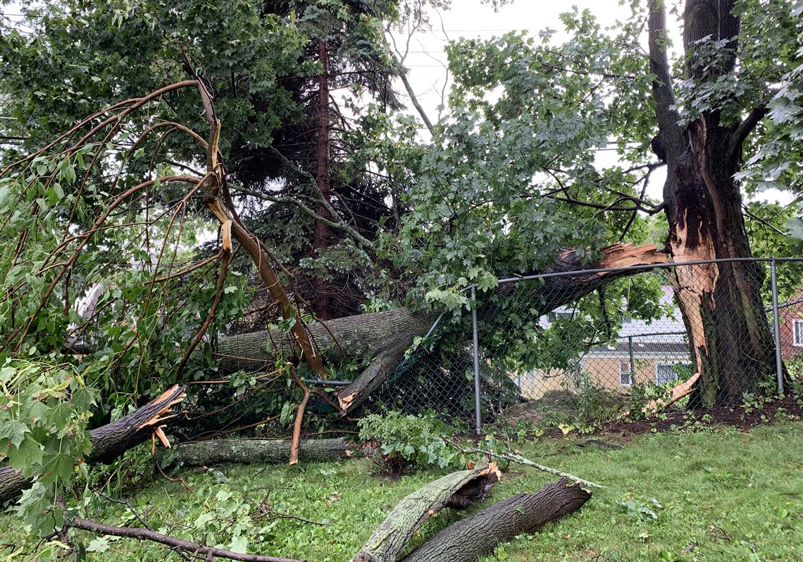 Fallen trees cause serious delays on Port Authority's Red Line; power outages in South Hills